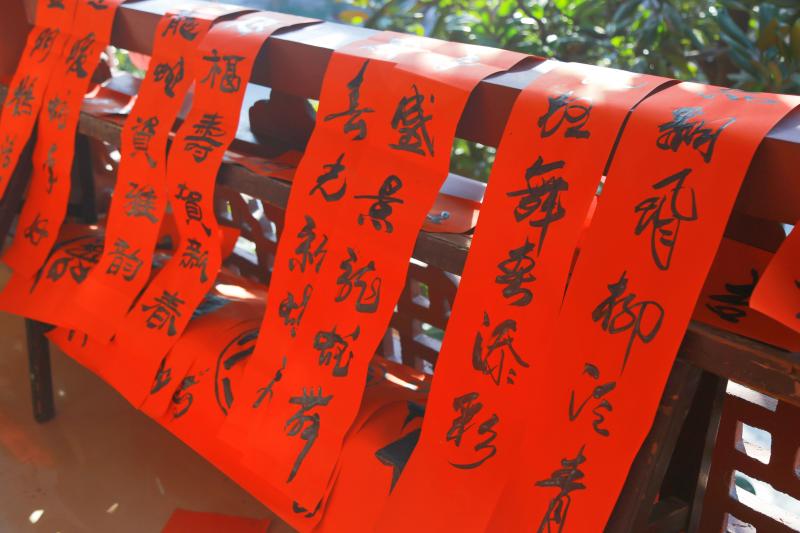 IMG_8458.JPG IMG_8458.JPG